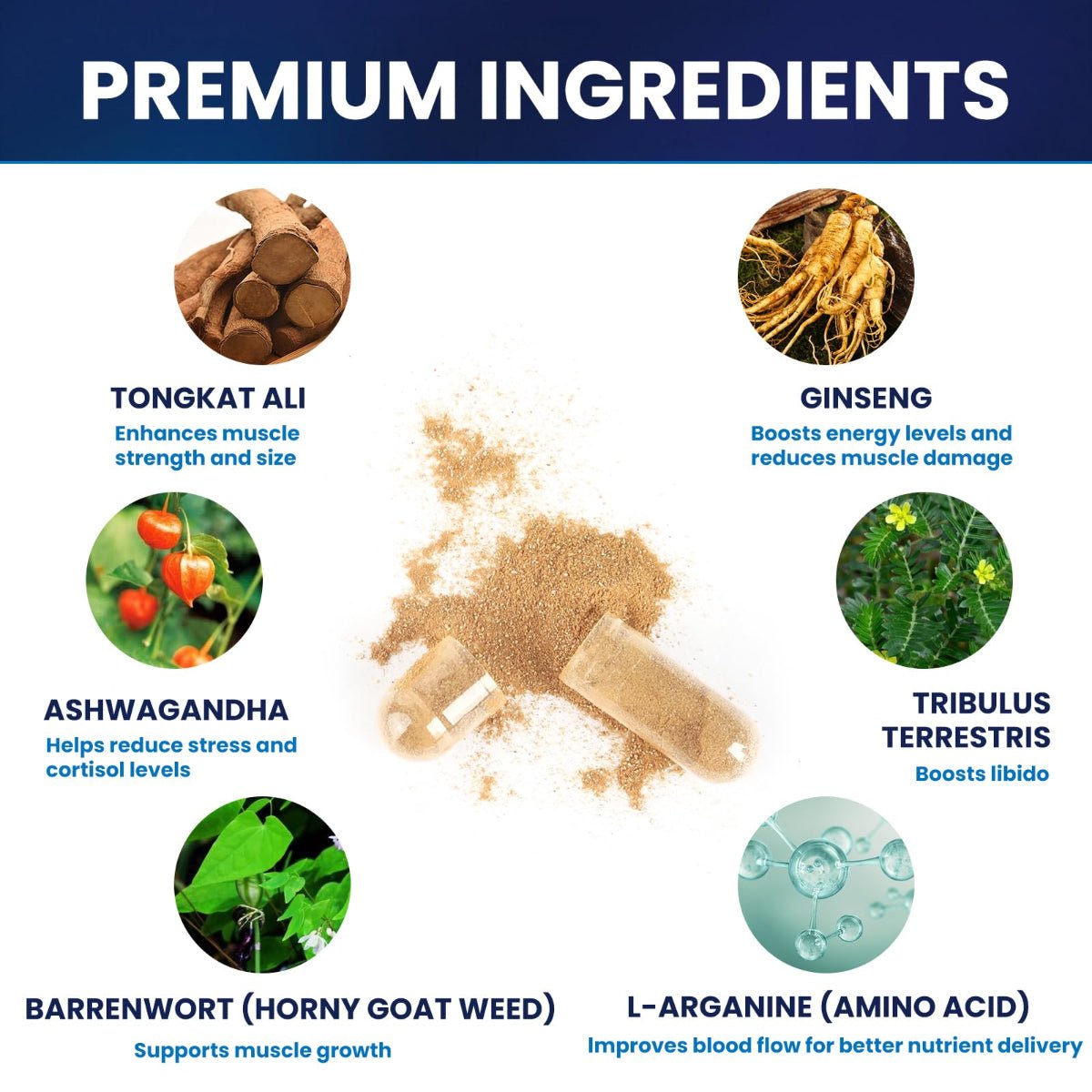 Premium Herbal Wellness Supplement - Natural Energy & Vitality Formula - Anfamer